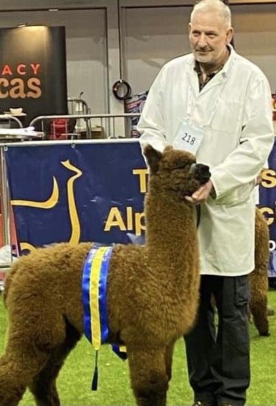 22 Limestone Bengal- Opens Mon 2nd Mar - Image 3