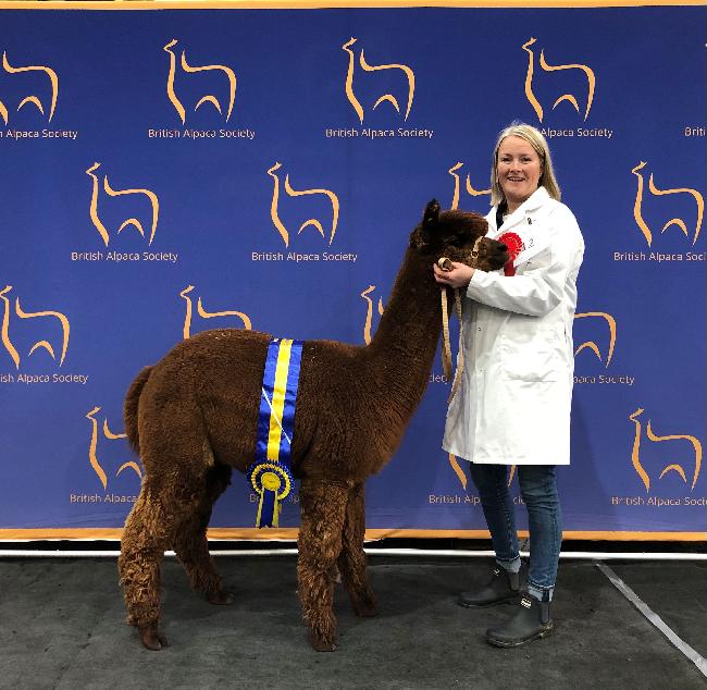 09 Beck Brow Touchdown- Opens Mon 9th Feb - Image 3