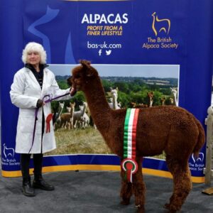 09 Beck Brow Touchdown- Opens Mon 9th Feb