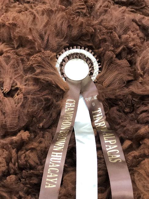 09 Beck Brow Touchdown- Opens Mon 9th Feb - Image 2