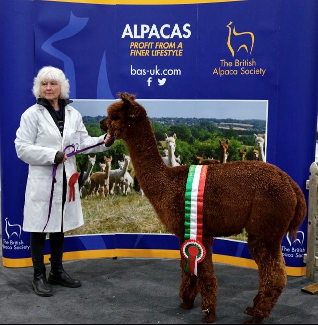 09 Beck Brow Touchdown- Opens Mon 9th Feb