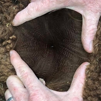 03 Beck Brow Ready or Not- Opens Mon 2nd Feb - Image 2